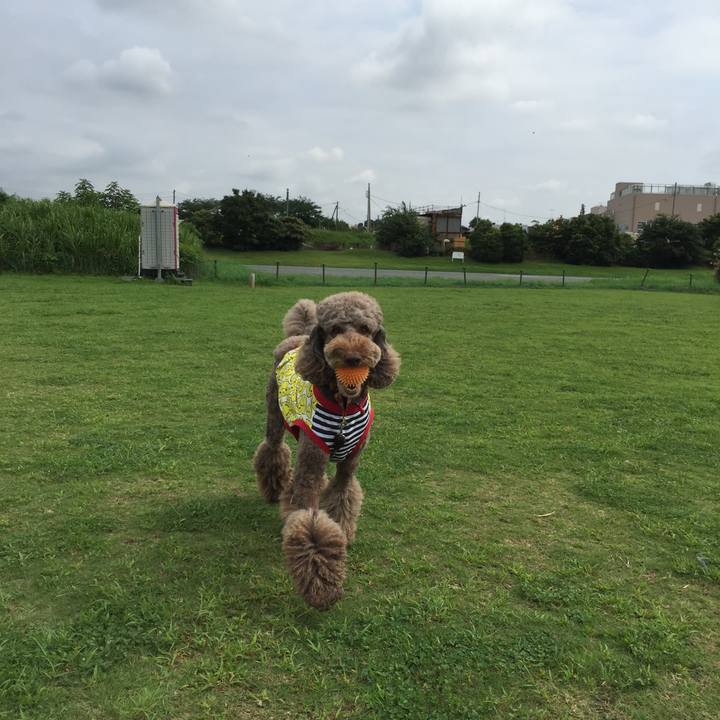 2f3047c2 fc90 4275 b777 ac4637f88e00