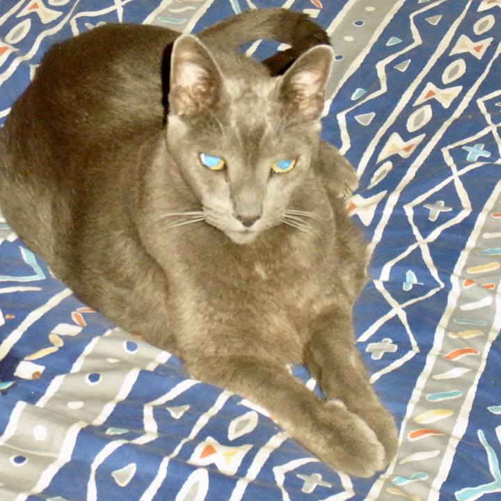 2f30917e 8b8a 449d a03c 5464ec1b226d