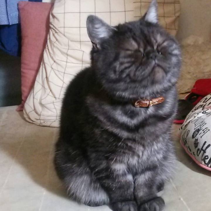 2f30c5ca 2bb4 4638 bc0d 269c2120f008