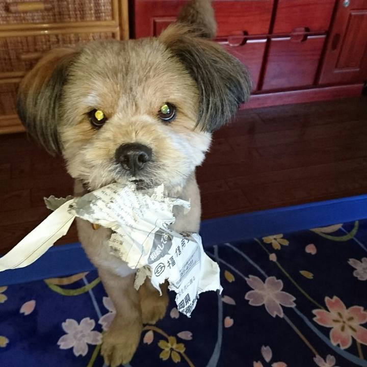 2f310a42 6543 497e b1e6 f11a6b73e5b0