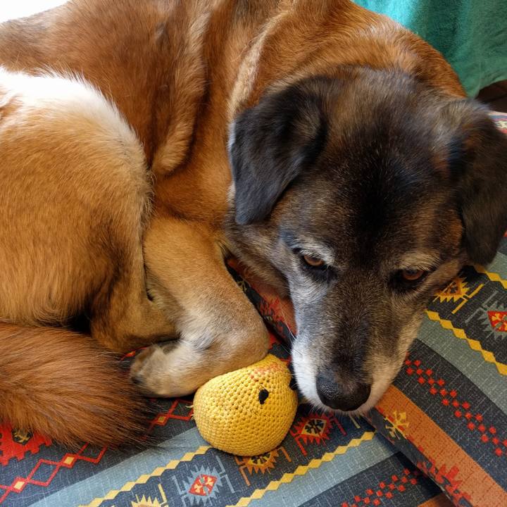 2f316384 ac6e 4d5c af50 c1a07ac4999d