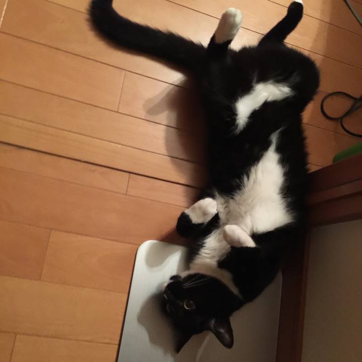 2f3244bd 2503 4322 a6ca b9a6d36fb7b4