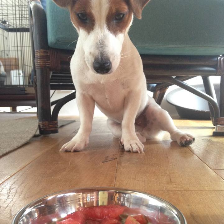 2f33d4d4 a2bf 4dcb a273 b4bde1f7656f