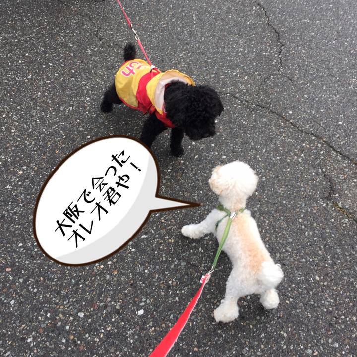 2f3514b7 7cb1 47fc 86c2 e3ba9b1749ce