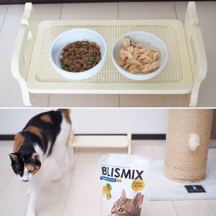 2f365a5b f6f6 48e7 8dcb 5c20f4bea85f