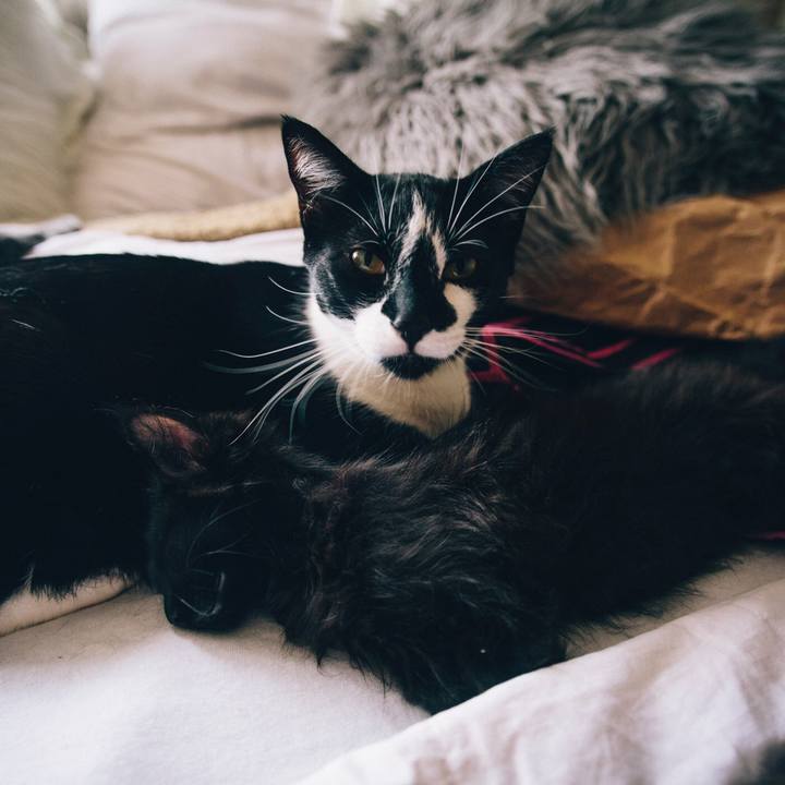 2f36cec1 08f8 4726 abcd 8a4998d95a87