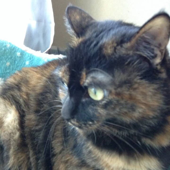 2f3804ba 3f52 4b76 a84d 52304985cfa5