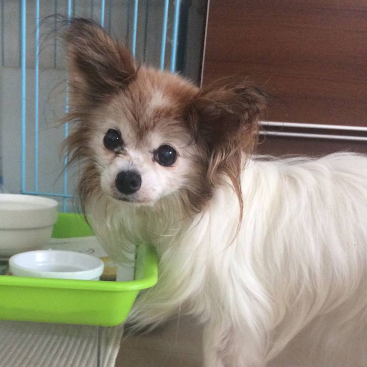 2f382aae b01e 4713 acc1 dc46acb3be02