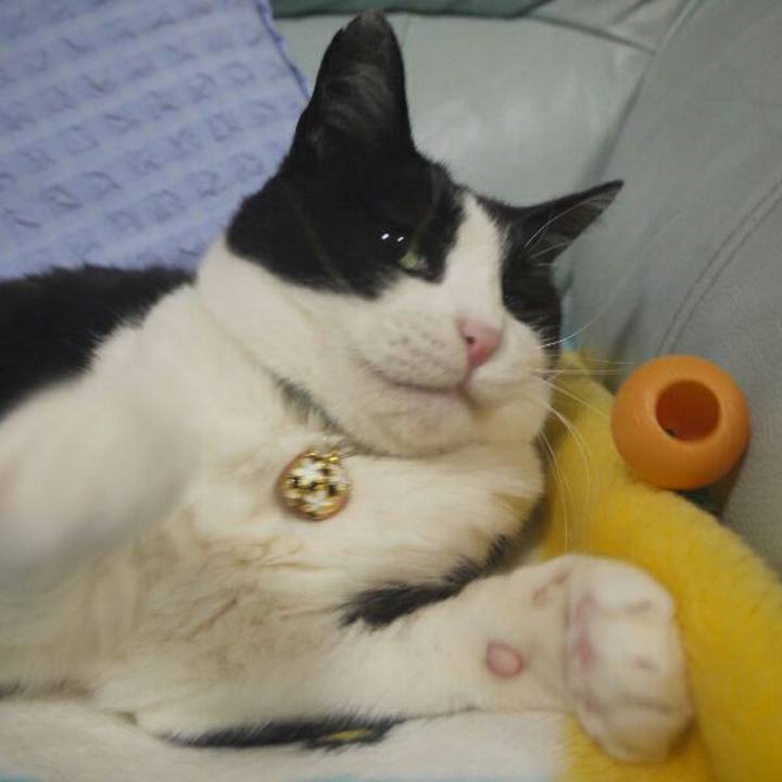 2f3837c1 e484 495e 9f1e 74adca2f1eff