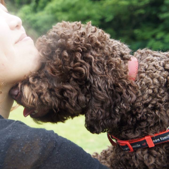 2f388aae ff31 4920 80c7 d9a00ec32f24