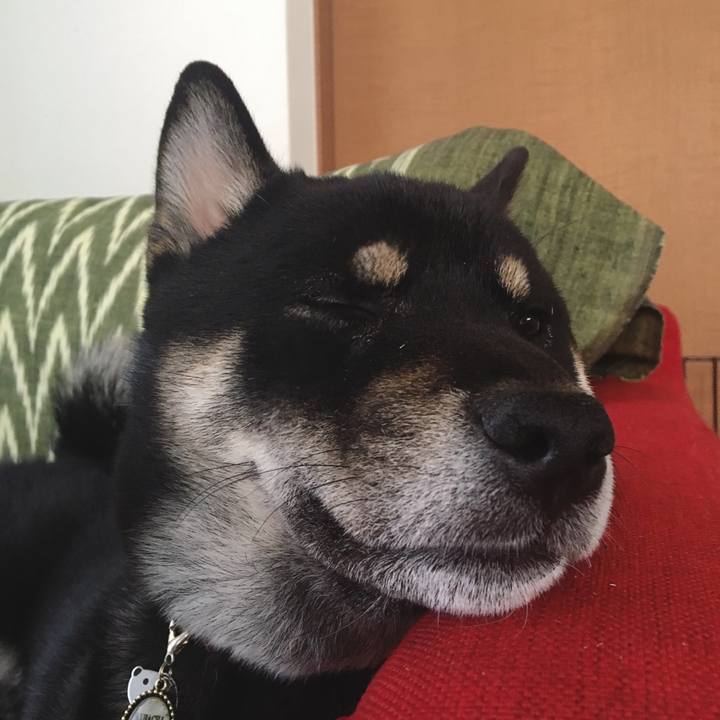 2f38a0bd 9dc9 4c5d a34f d2d79cfd6c44