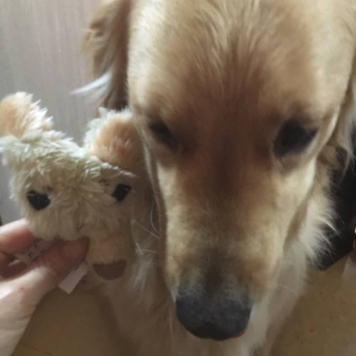 2f38f451 3615 4f3c 8acb 14d05676a5d7