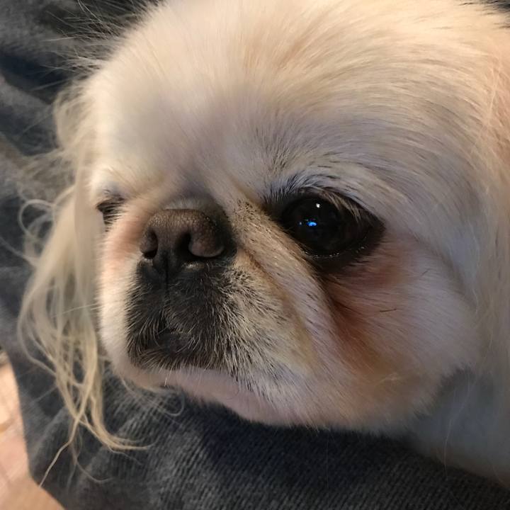 2f394ba3 e43e 4f17 a44b c28b0deca5bf