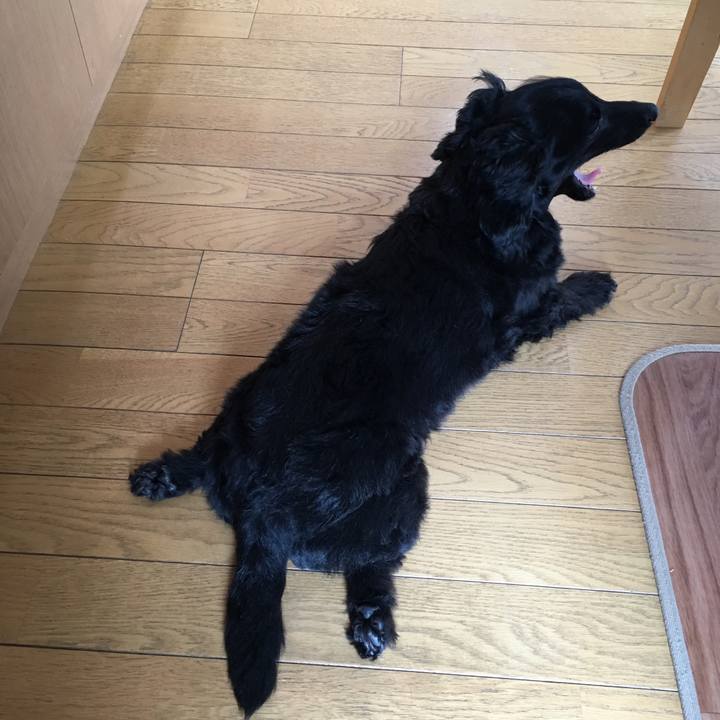 2f397897 92e7 483c b28f d1c2d0534090