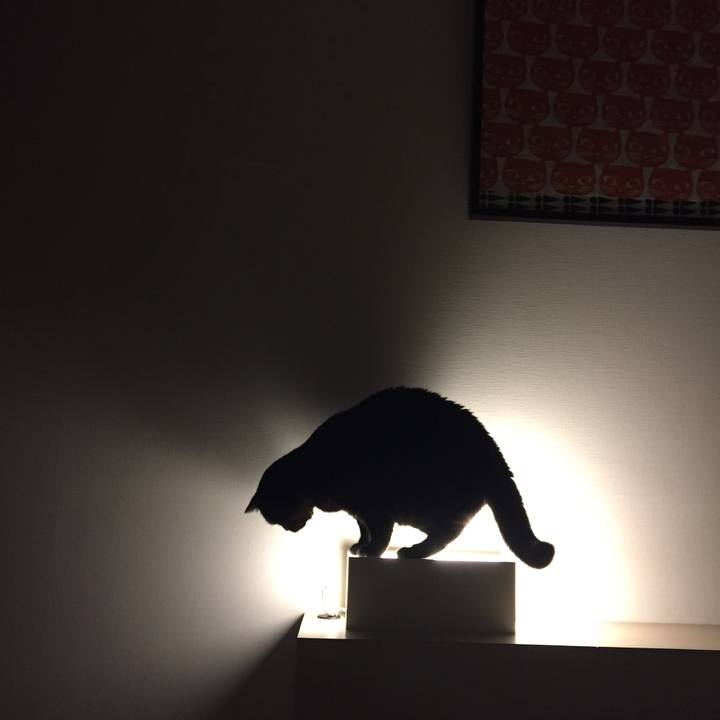 2f3aa2ce 69de 45ae 8cd6 12320ca2f4f1