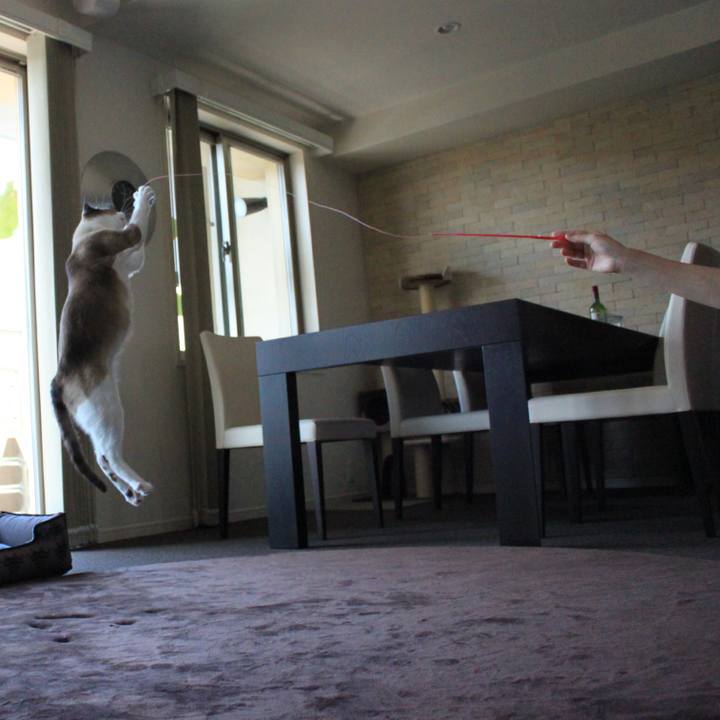 2f3b8e93 864f 4c97 8f78 e017d2dc04fb