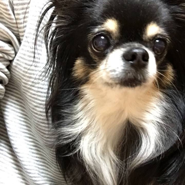 2f3d4373 460f 4eb9 9e30 95b1caa1801f