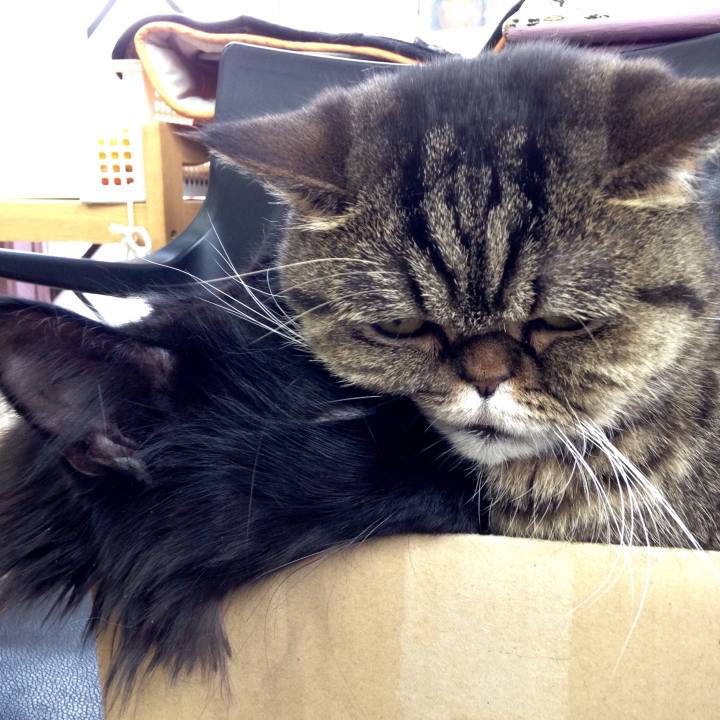 2f3d4af4 c87a 4c3a 873b 7be99a1c6b36