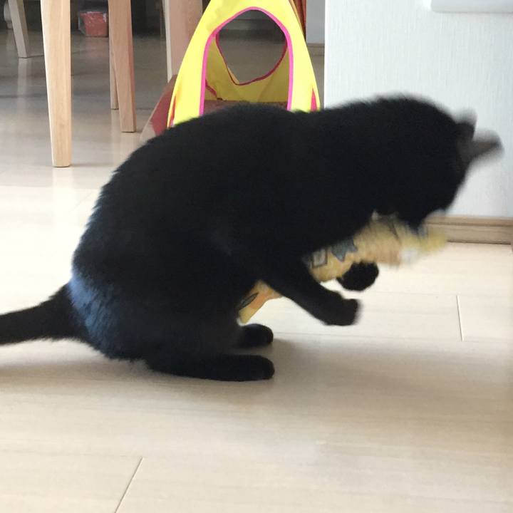 2f3d74ef cad2 4748 bb30 d90eeabdc317