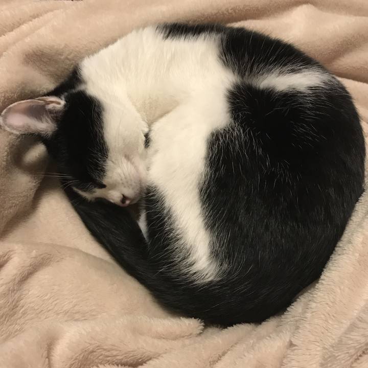 2f3db49b 37b6 4588 adac 9c068d50eb87