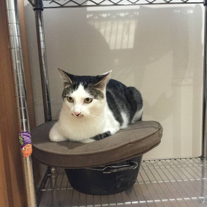 2f3e099a 3f6a 4148 a385 093eaaf06287