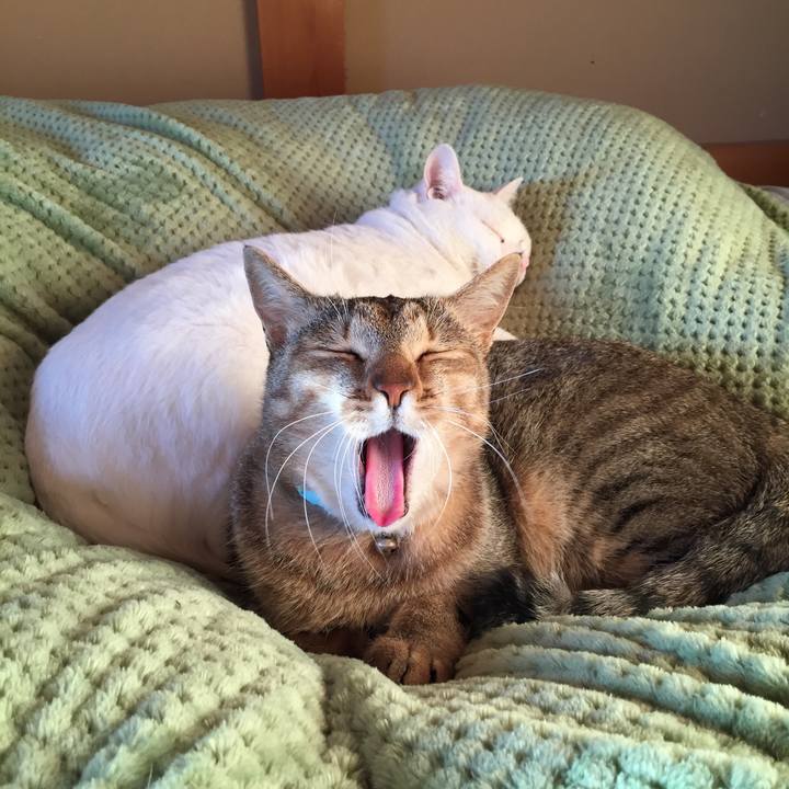 2f3e9550 64df 499e b874 63863b48449e