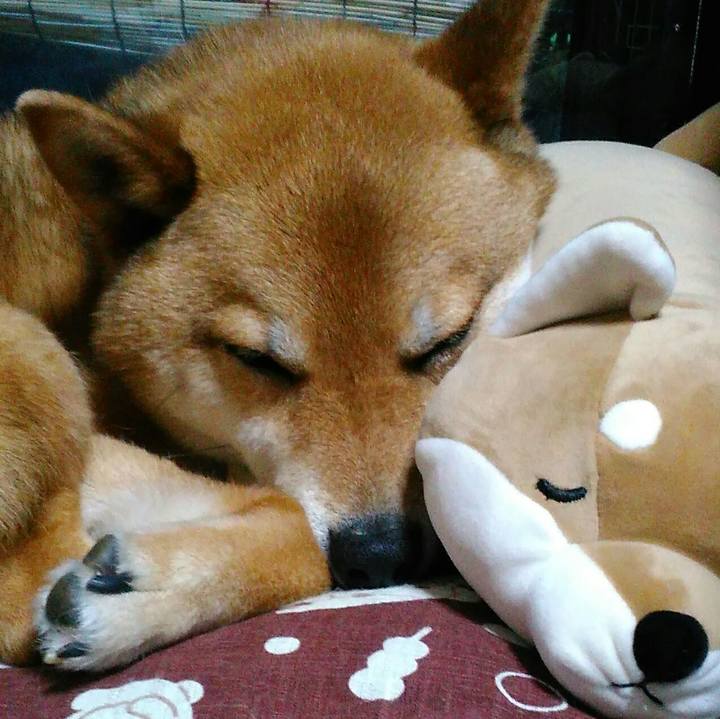 2f3ef2c7 5cc6 47de 994d 8226559d9aa3