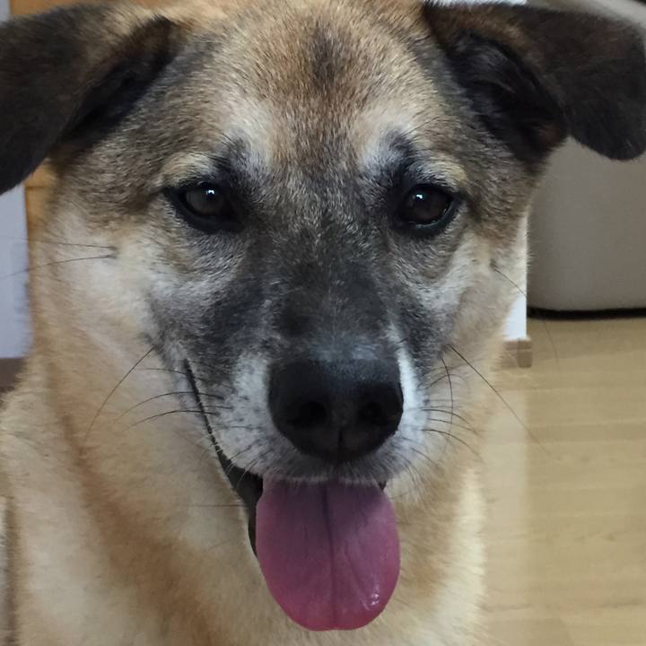 2f3ef9a8 7d80 43ea 8ac5 1c85cb361b03