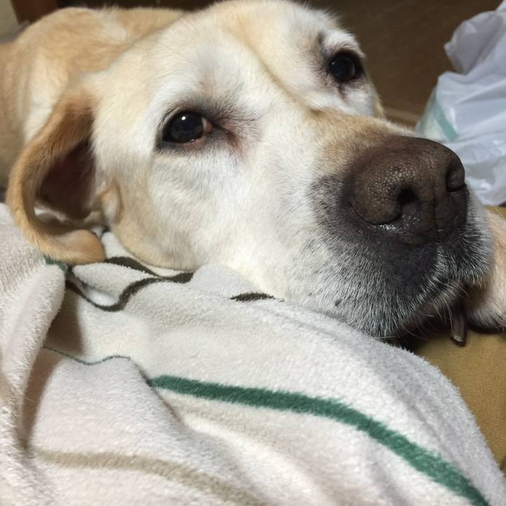 2f3f5e06 946e 4c98 bb47 1961b825af0b