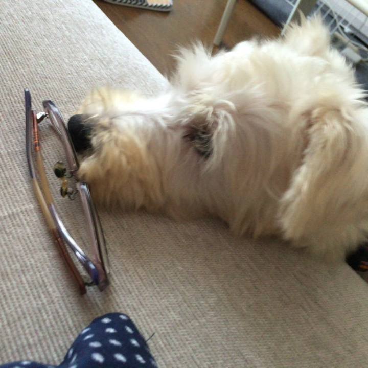 2f3f71ff 7ef7 4f21 9fb6 856dc7f0657a