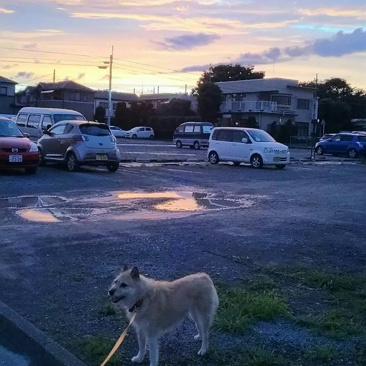 2f3fd134 7027 492d 8ffd 6c0871fbe2c8