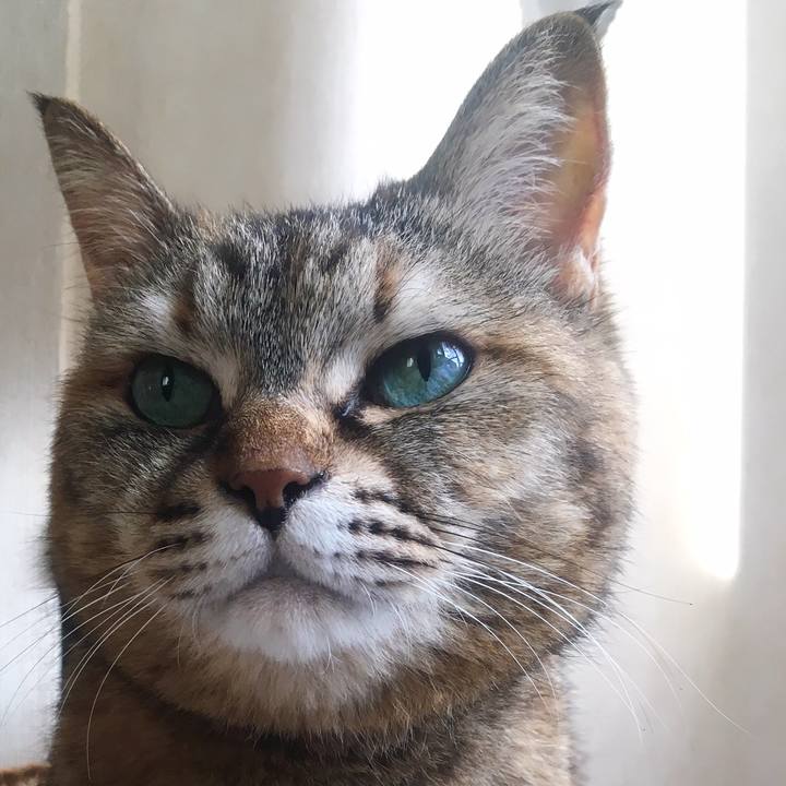 2f3fdf3d c673 455a 8424 fa8c1c3a21be