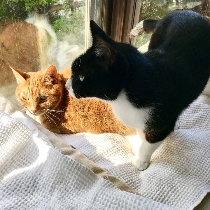 2f40a669 e853 48d9 9369 dbb6235b7b85