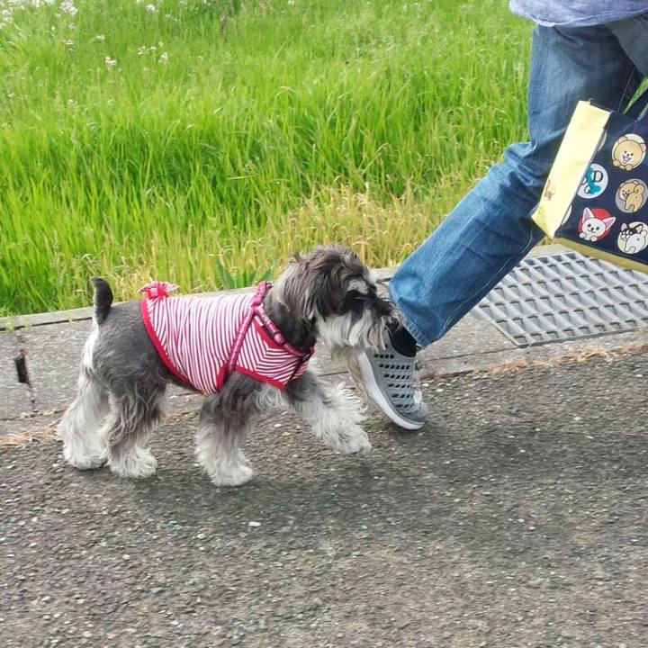 2f41cdab c10d 4b5a ac2e 820876db4412