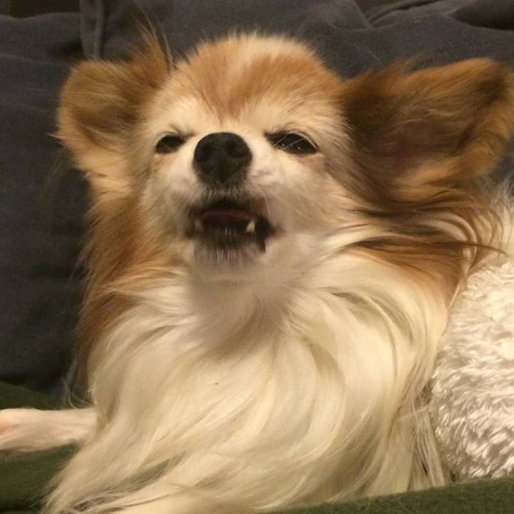 2f429840 5ee6 4b56 ac6b 04b20f86fbc6