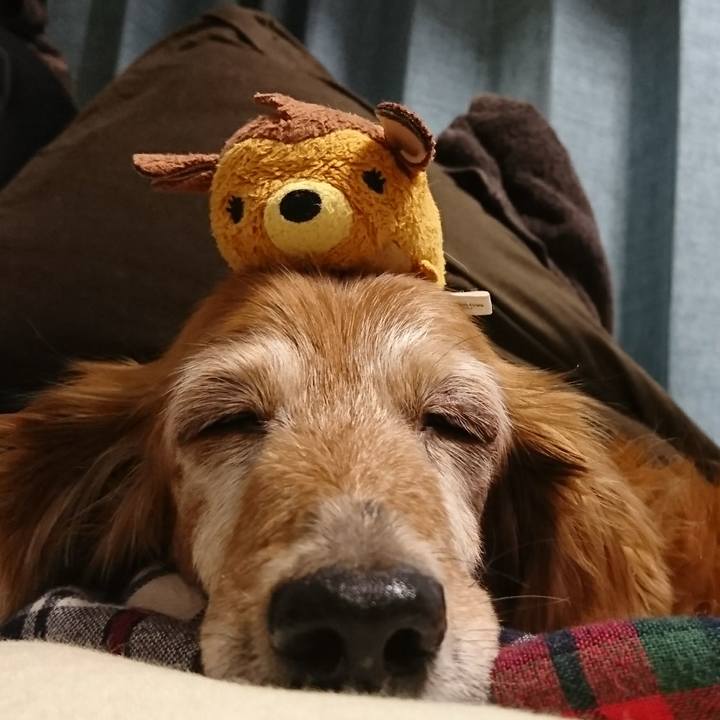 2f42bc73 2f60 4294 91db 5865b4c358b1