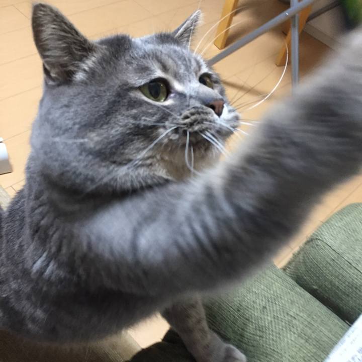 2f42e8f1 0a37 4d7d af88 6333bad14f93