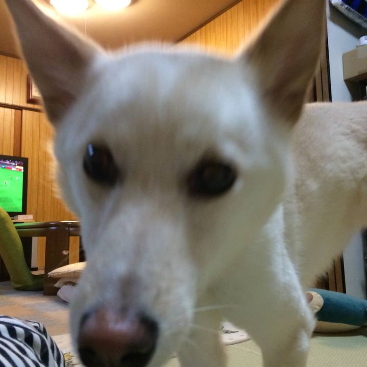 2f43e319 ddef 4de3 a64a 2450d32f2e3c