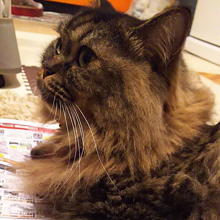 2f43ee23 5320 4145 9176 32875be0a2e0