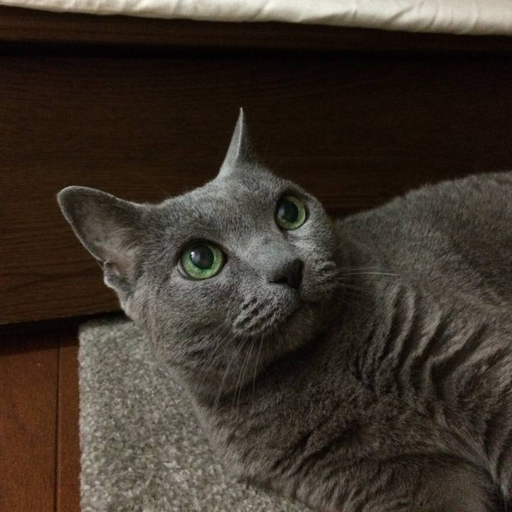 2f44458d b8cb 405a 9f30 1b4033d0ba99