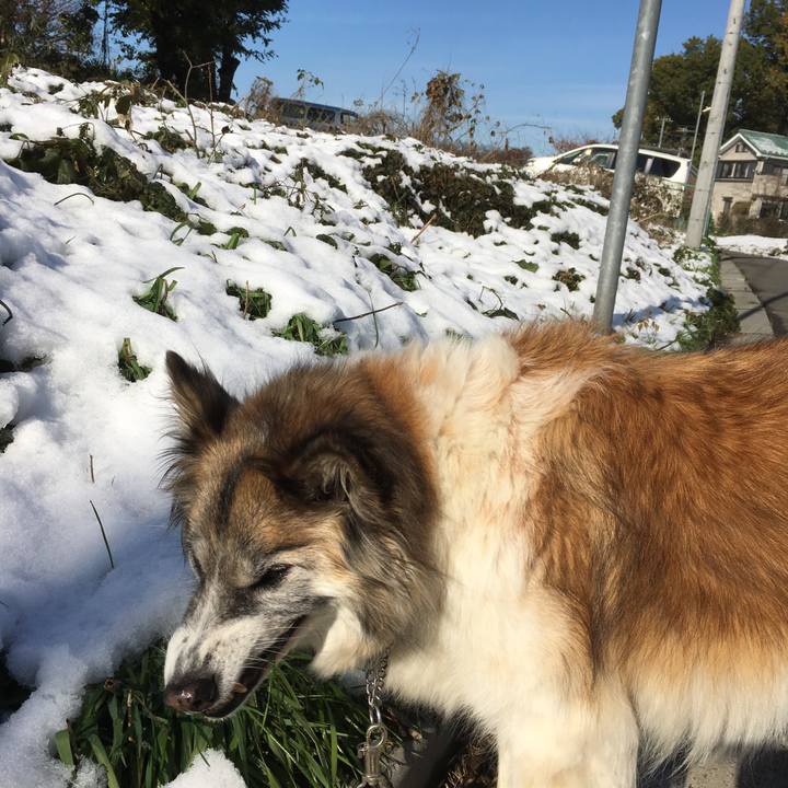 2f4487ee 3a9b 45bb bf93 ecaad07d3f31