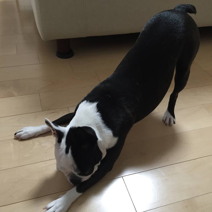 2f44edd4 6847 4de6 b60e 4334339ff418