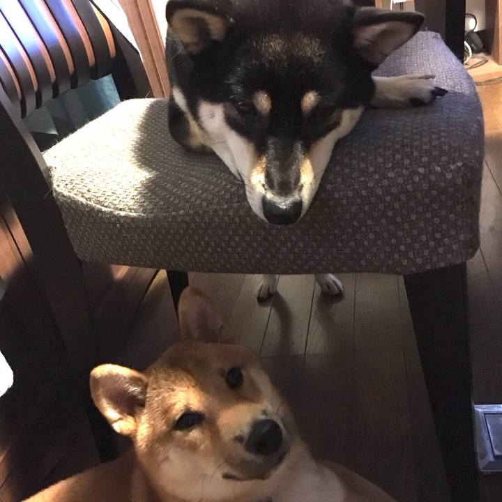 2f4581d6 f7ed 4b0d a125 60e26d1dfc20