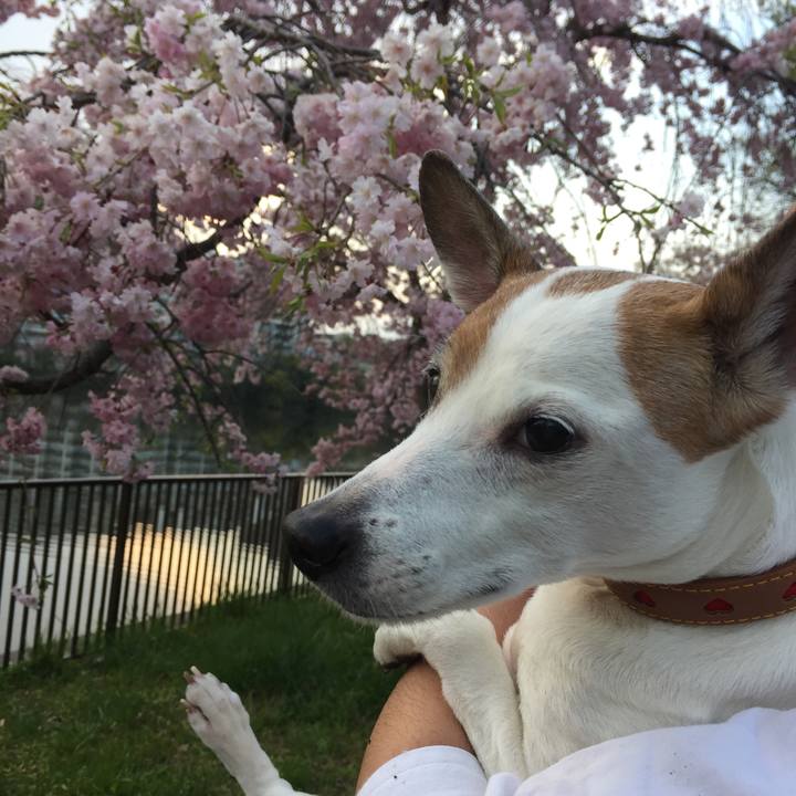 2f463e2b a55d 4c6a 8cf2 9e3e3fb4690a