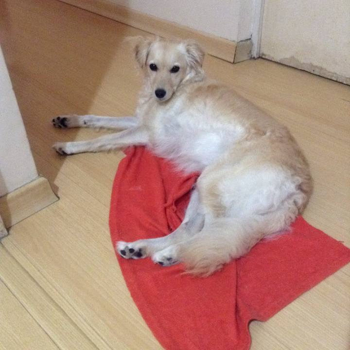 2f469210 c76d 4033 975a da2d66819795