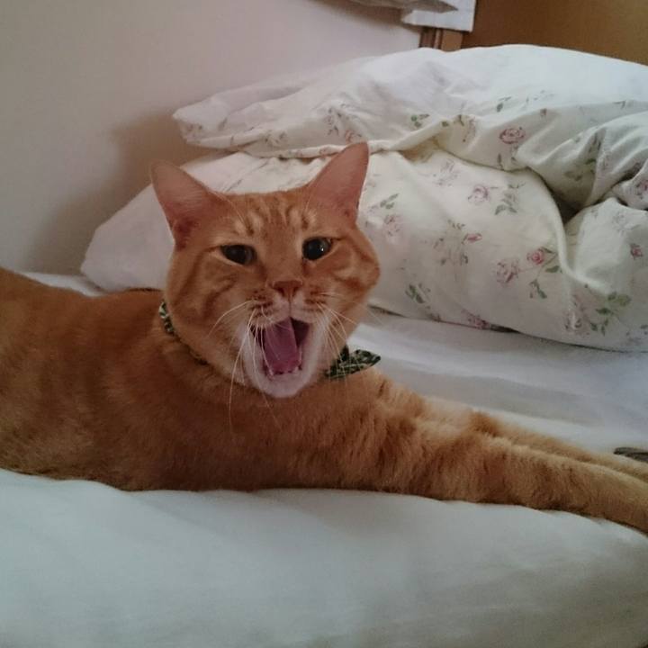 2f46bfdd 73f3 41cf b8a7 f60cdab08046