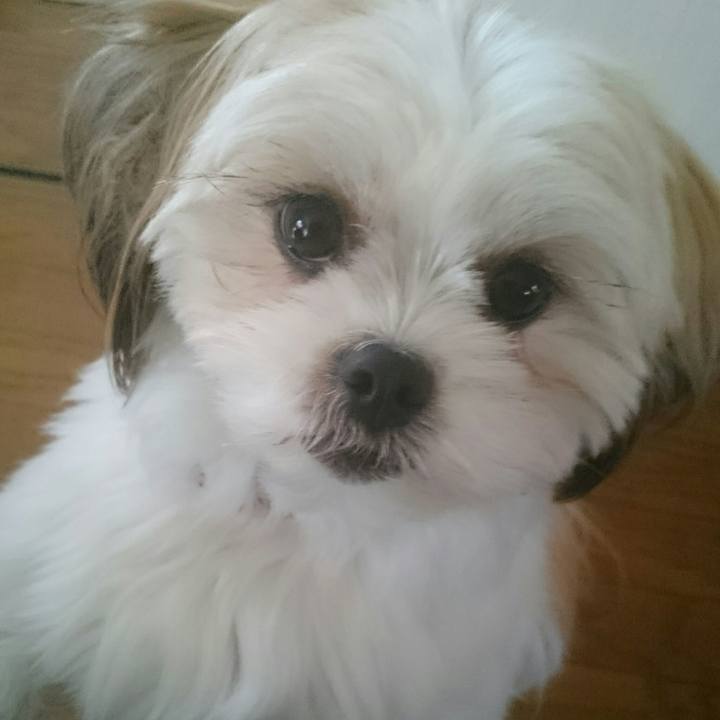 2f4710fa 897c 4c7f 9a82 be7be55efad3