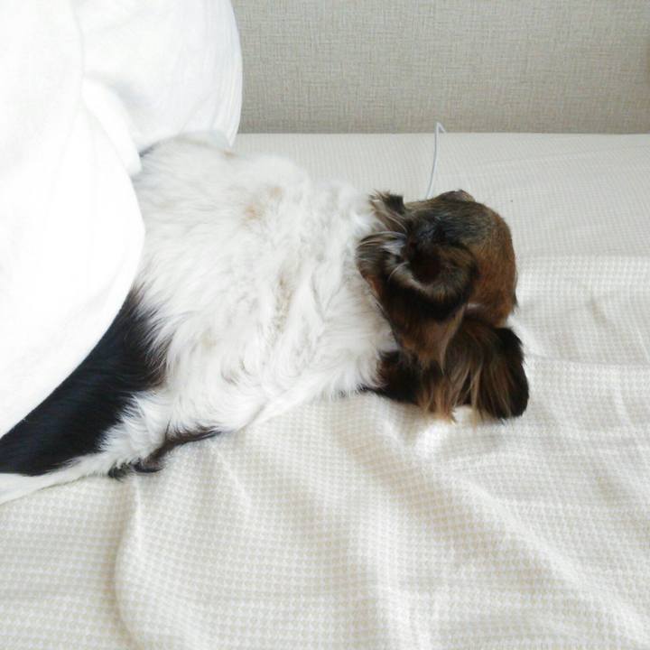 2f4746e3 6f23 4336 bf7f b13eae95182d