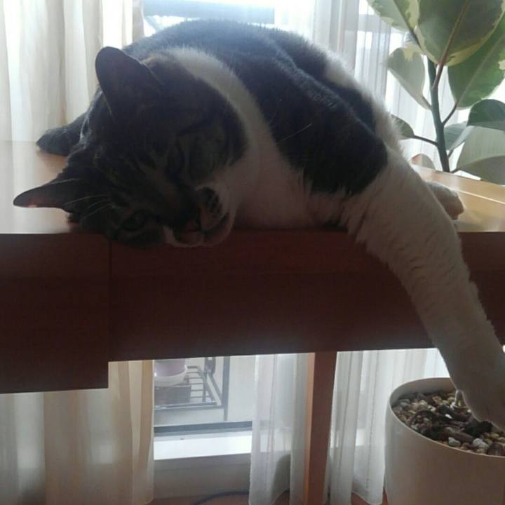 2f474743 9edc 4d51 aeaf d056b54d7690