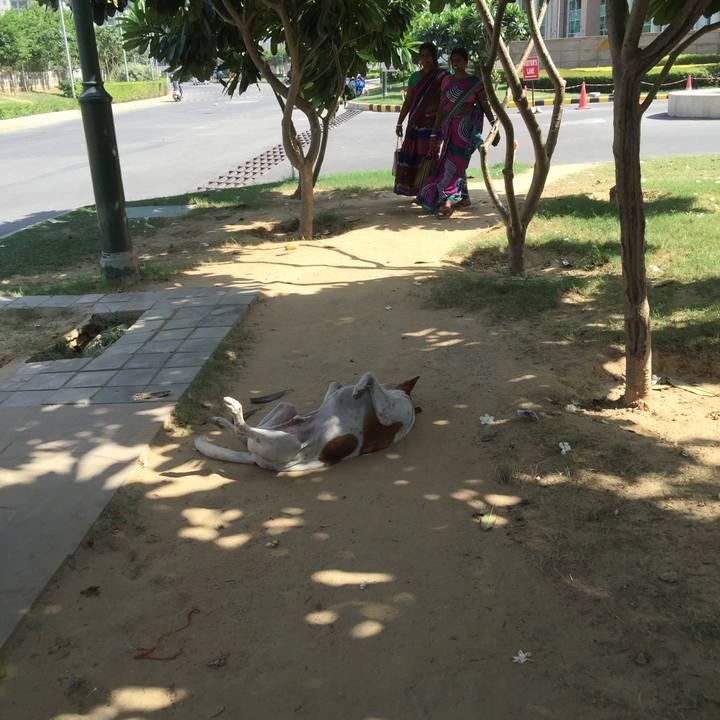 2f48385f 99b5 4646 9ac7 af6b04ba7364